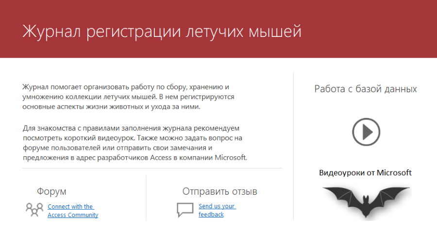 Содержание летучих мышей